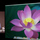 Image for article titled What Is Apple's Mission Control?